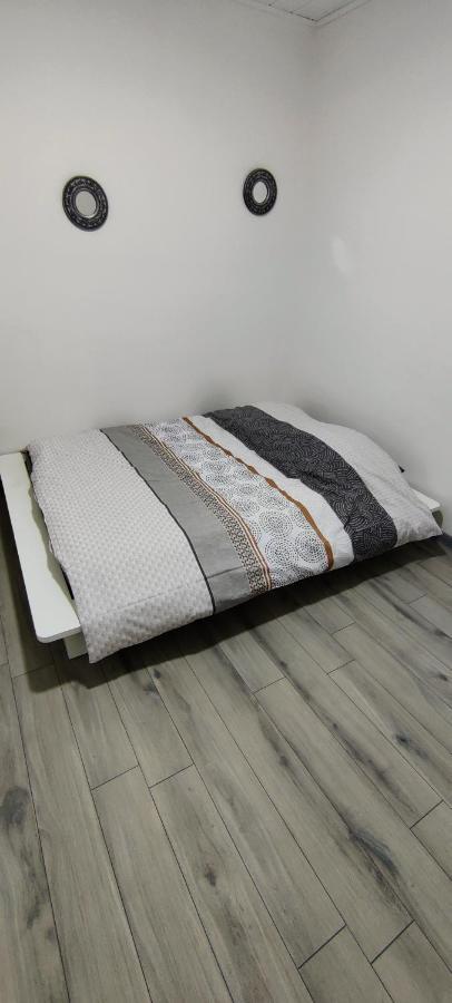 Appartement En Centre Ville 托农莱班 外观 照片